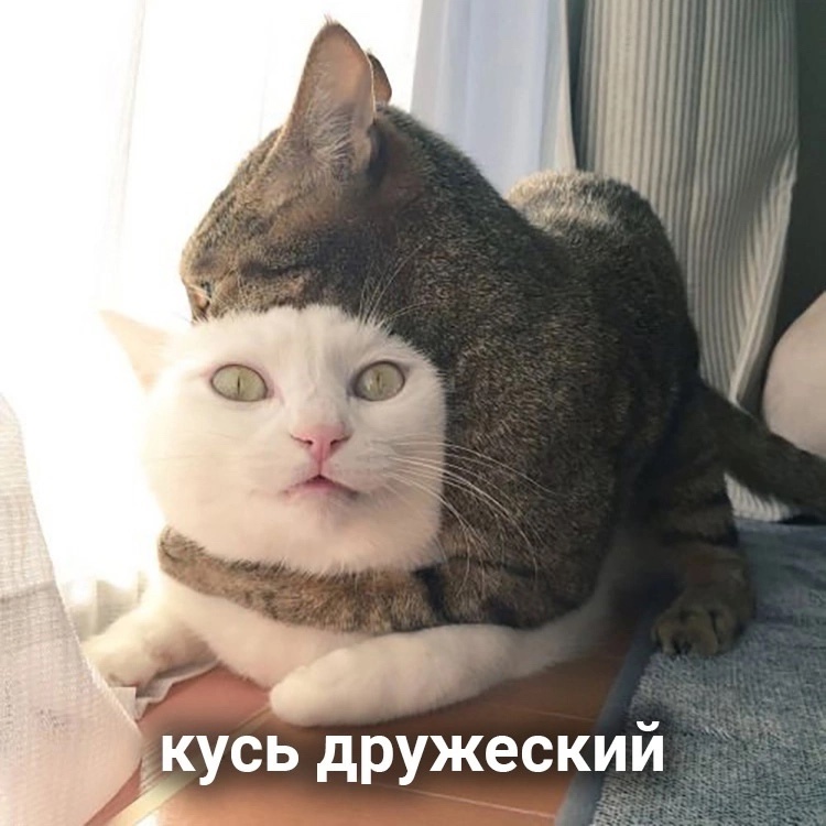 Какой-то крутой файл!
